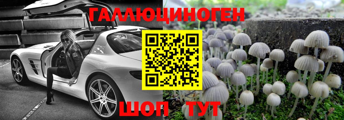 купить  сайты  Псилоцибиновые грибы Cubensis  Вход с VPN  Ставрополь 