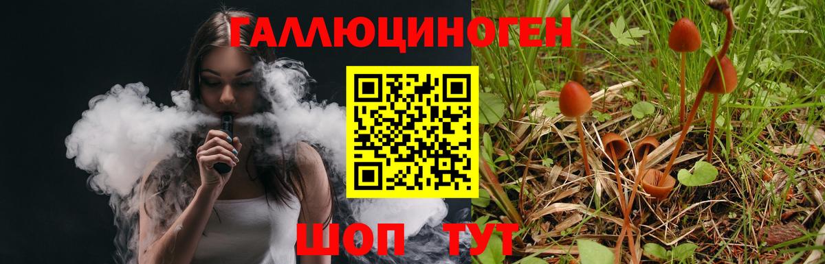 Псилоцибиновые грибы ЛСД Ставрополь