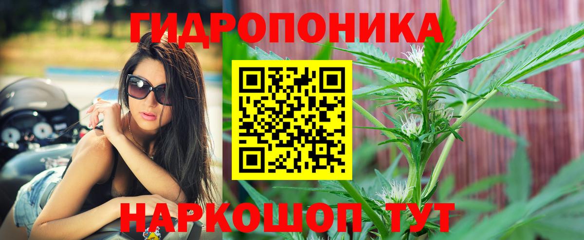 Канабис ГИДРОПОН  Вход с VPN  Ставрополь  Конопля SATIVA & INDICA  Марихуана конопля 